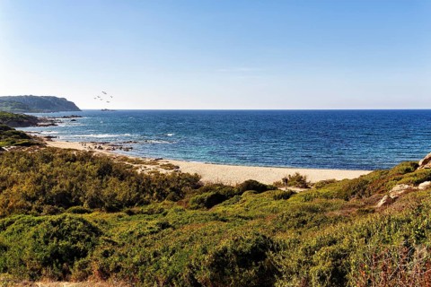 Coastline with beach near Santa Teresa di Gallura