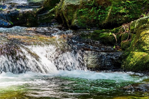 Small cascade inside the vegetation of preserved rainforest of Itatiaia park in Rio de Janeiro