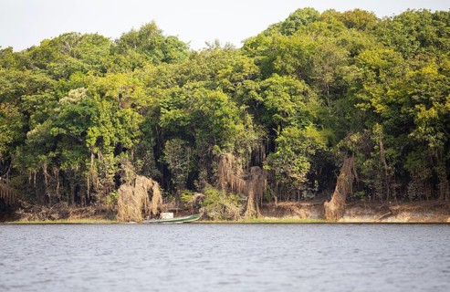 Boat and riverside landscape on the Rio Amazonas at low water level