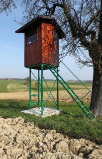 Hunter's stand at pear tree in the field