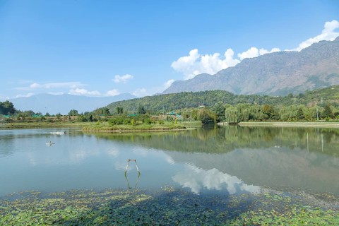 Beautiful lake in Srinagar