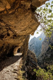 Hiking trail through the Cares Gorge