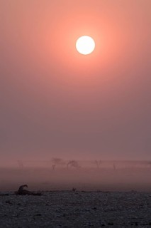Sunset over the Etosha Pan