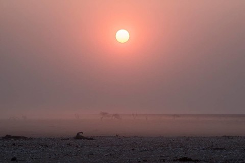 Sunset over the Etosha Pan