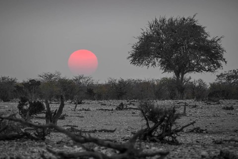Sunset over the Etosha Pan