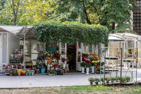 Flower shop