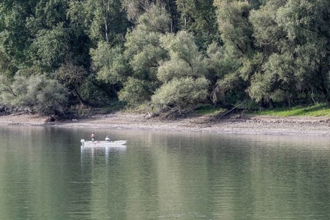 Fishing boat in front of white willows