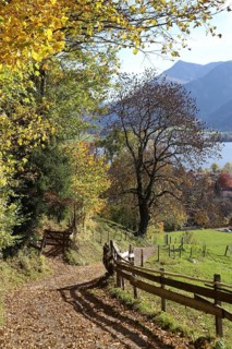 Schlierseer Höhenweg in autumn