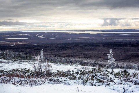 Tundra