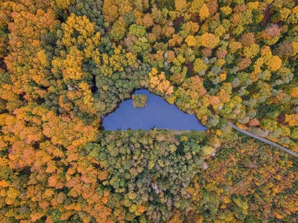 The foliage of the trees around the Brunnenweiher pond near Usingen in Taunus is beginning to turn autumnal yellow and orange.