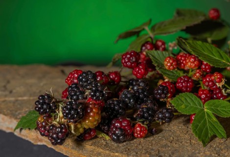 Blackberry