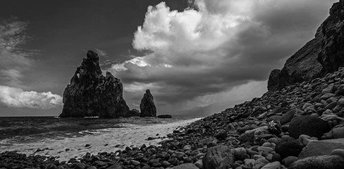 Black and white photo