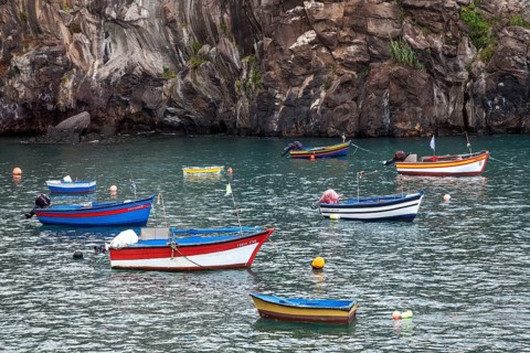 Câmara de Lobos
