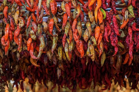 Dried chilli peppers