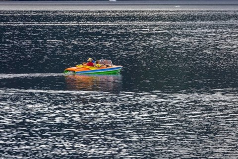 Pedal boat underway on Lake Titisee in the Black Forest