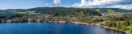 Landscape with Titisee in the Black Forest