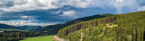 Landscape in the Black Forest