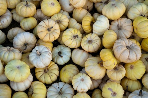 Pumpkins