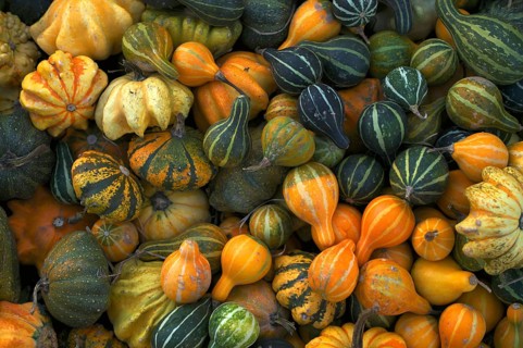 Pumpkins