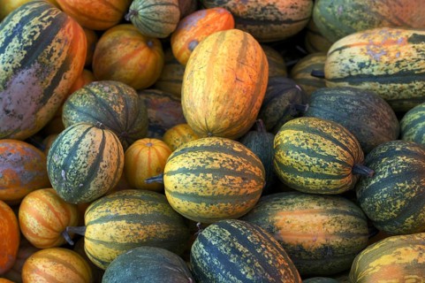 Pumpkins