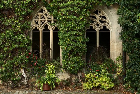 Overgrown dimension windows