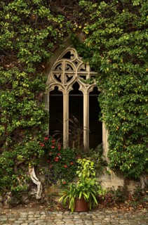 Overgrown dimension window