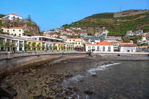 Port of Camara de Lobos