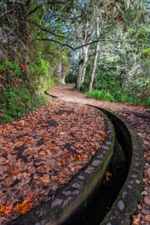 Idyllic hiking trail with levada