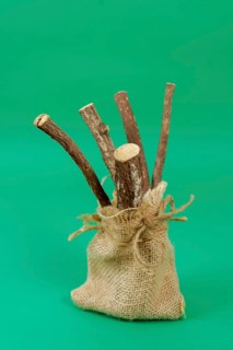 Group of natural licorice roots in a burlap bag isolated on a green background