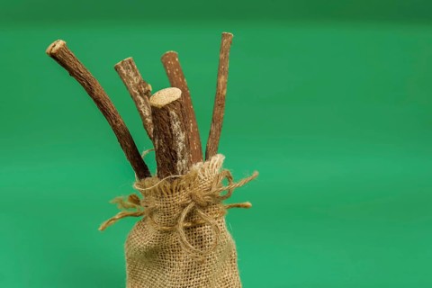 Group of natural licorice roots in a burlap bag isolated on a green background