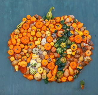 Picture with apple motif made of pumpkins in Kivik