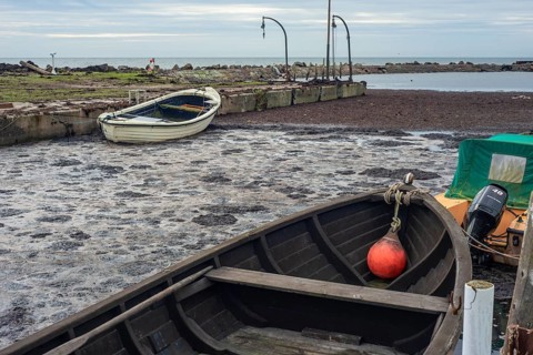 Dead algae and rotten bottom sediment fill up the entire harbor and prevent boats from getting out or entering Hörte harbor on Scania's south coast