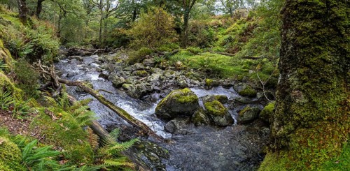River Derwent