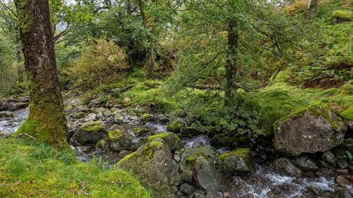 River Derwent