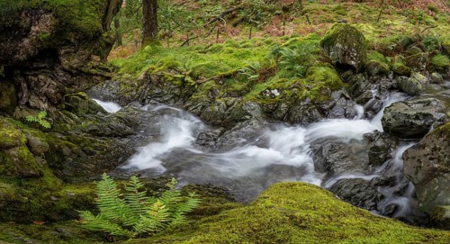 River Derwent