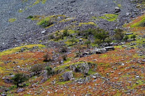 Mountain slopes at Honister Pass