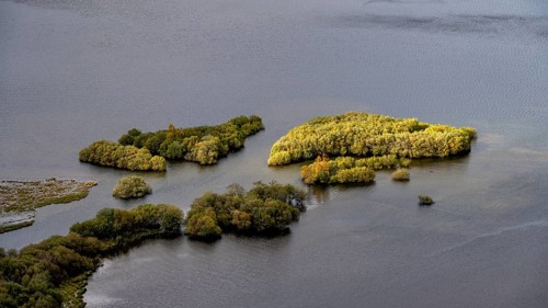 Islands in the Lake