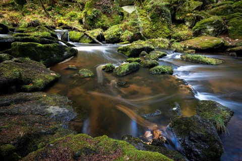 Höllfall river course in autumn