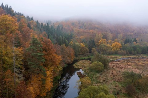 River Kamp in autumn
