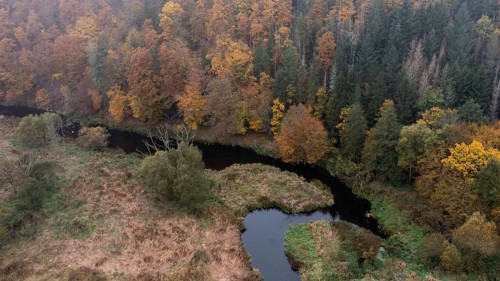 River Kamp in autumn
