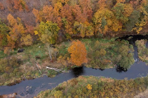 River Kamp in autumn