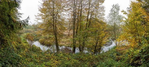 River Kamp in autumn