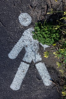 Stillised male sign for pedestrian walkway is overgrown by plants