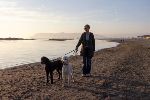 Woman walking with 2 dogs