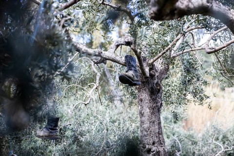 Old boots and weathered animal skull hanging in an olive tree to deter birds