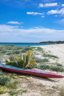 Kayak with a cactus