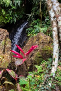 Goa Gajah