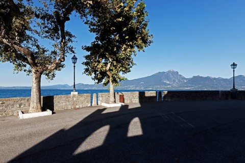 Lakeside promenade with plane trees and shadow of the Scaliger Castle