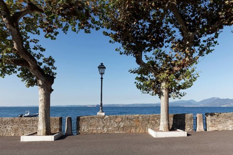 Lakeside promenade with plane trees