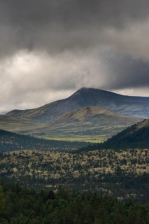Low Clouds
